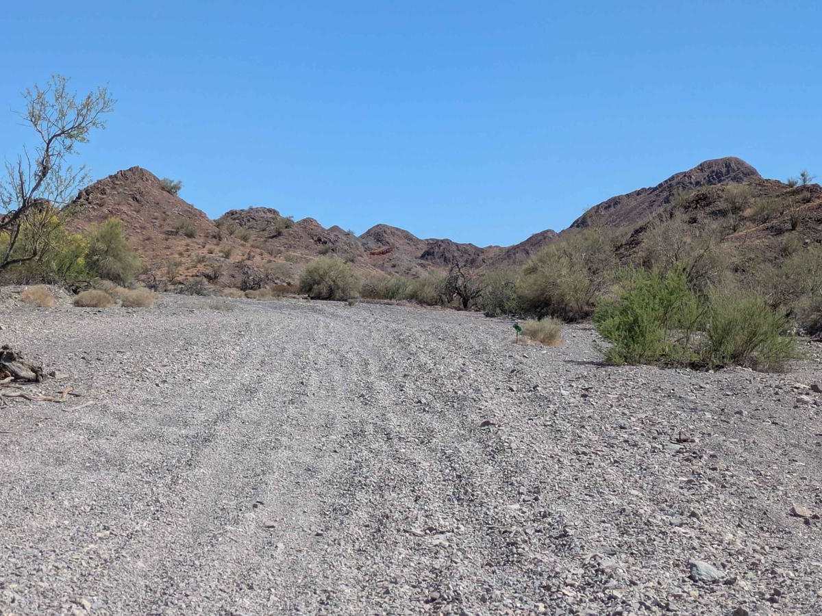 Bosque de Ocotillos photo 5