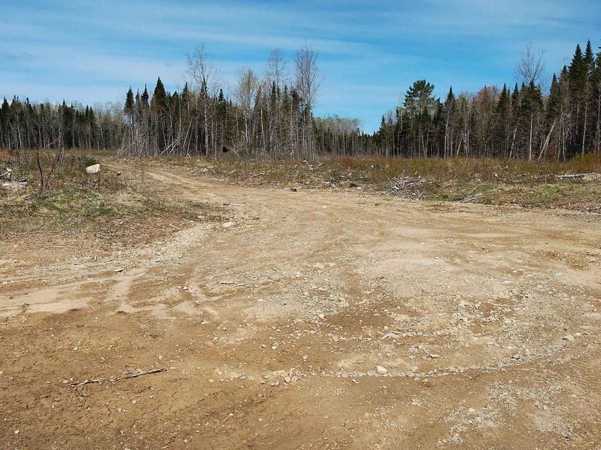 Maclean Settlement Overgrown Spur photo 4