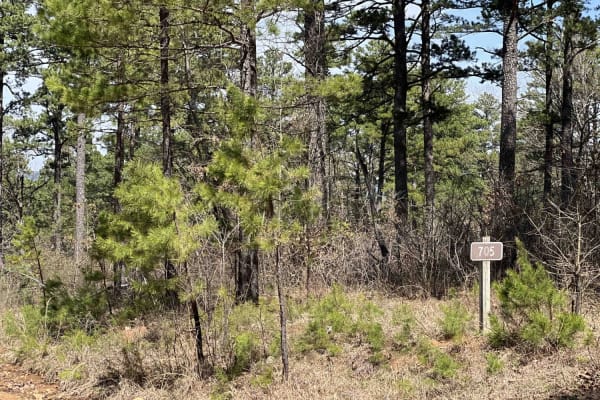 Taylor Branch 705