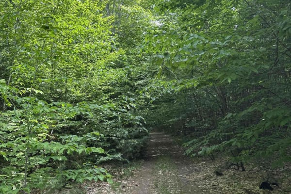 Dells Mills