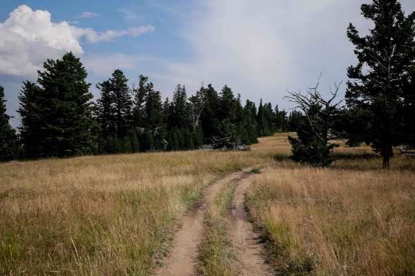 Jackson Creek ATV