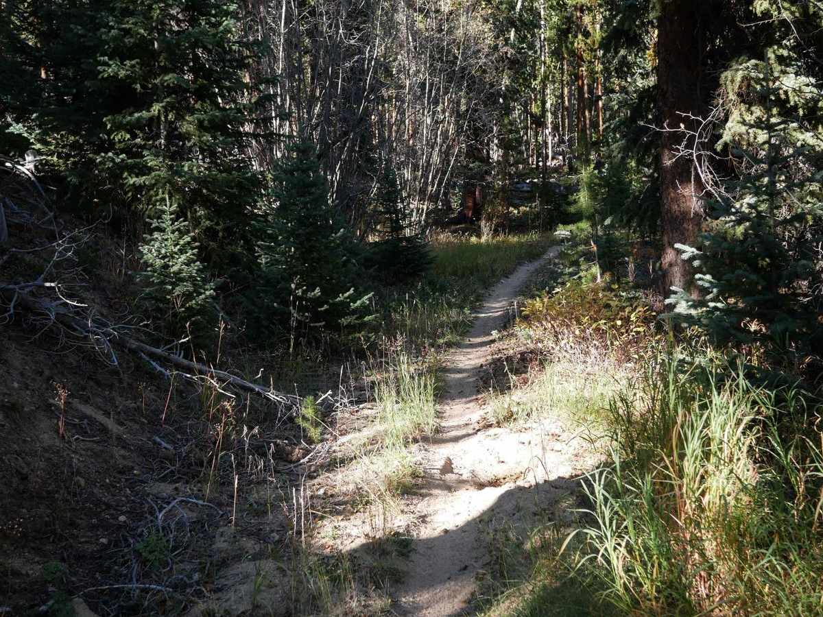 Knobby photo 4