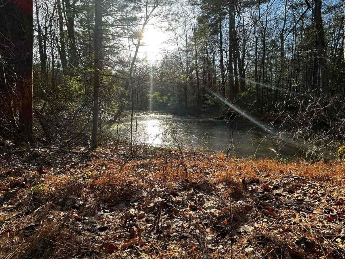 Hunter Road photo 4