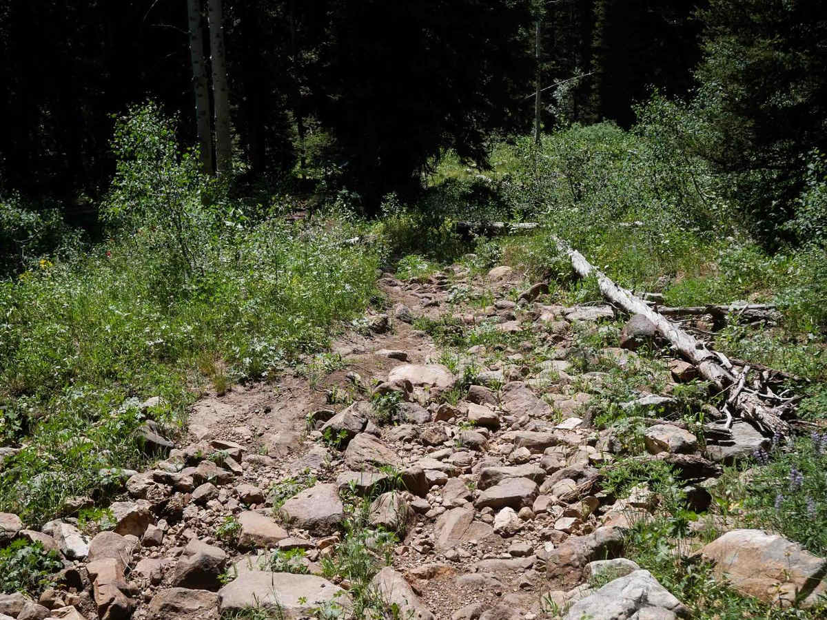 Dry Fork #3329  photo 6