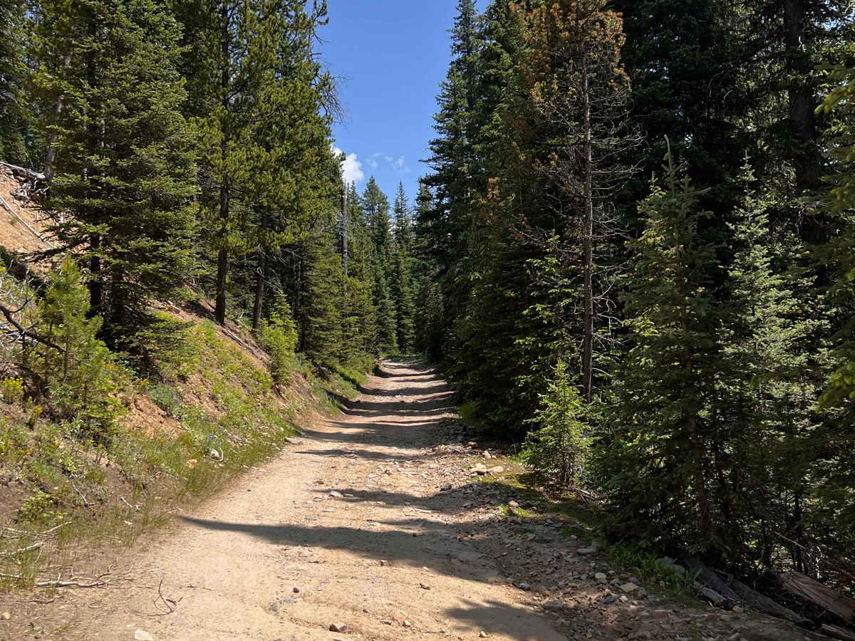Prickly Pear to Tizer Lakes photo 5