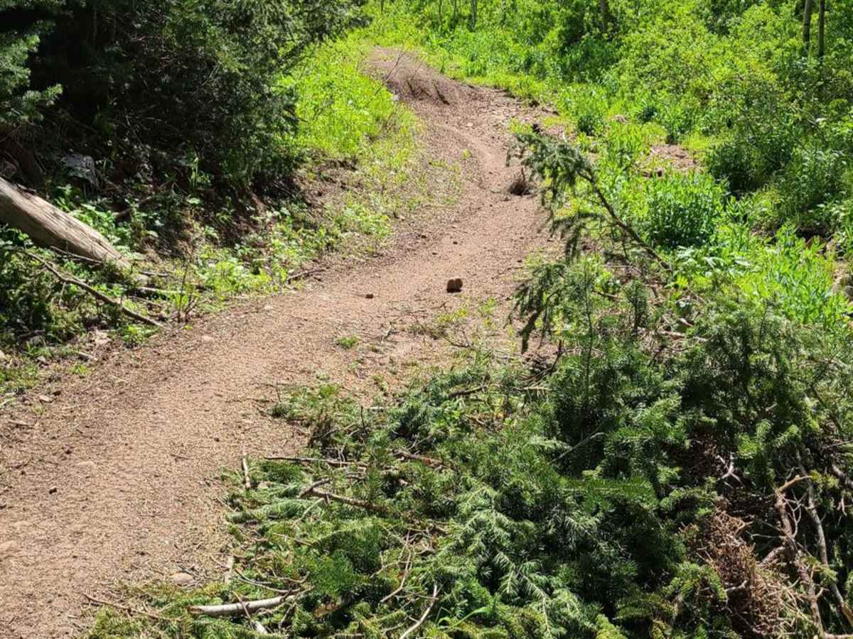 Richard's Hollow photo 3