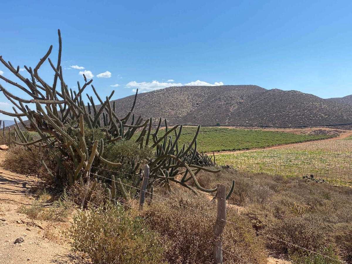 Rancho Juan Road trail photo