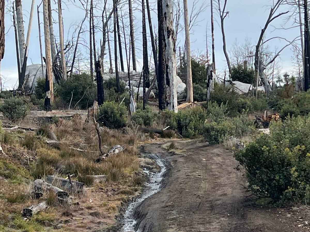 Middle Tuolumne River trail photo