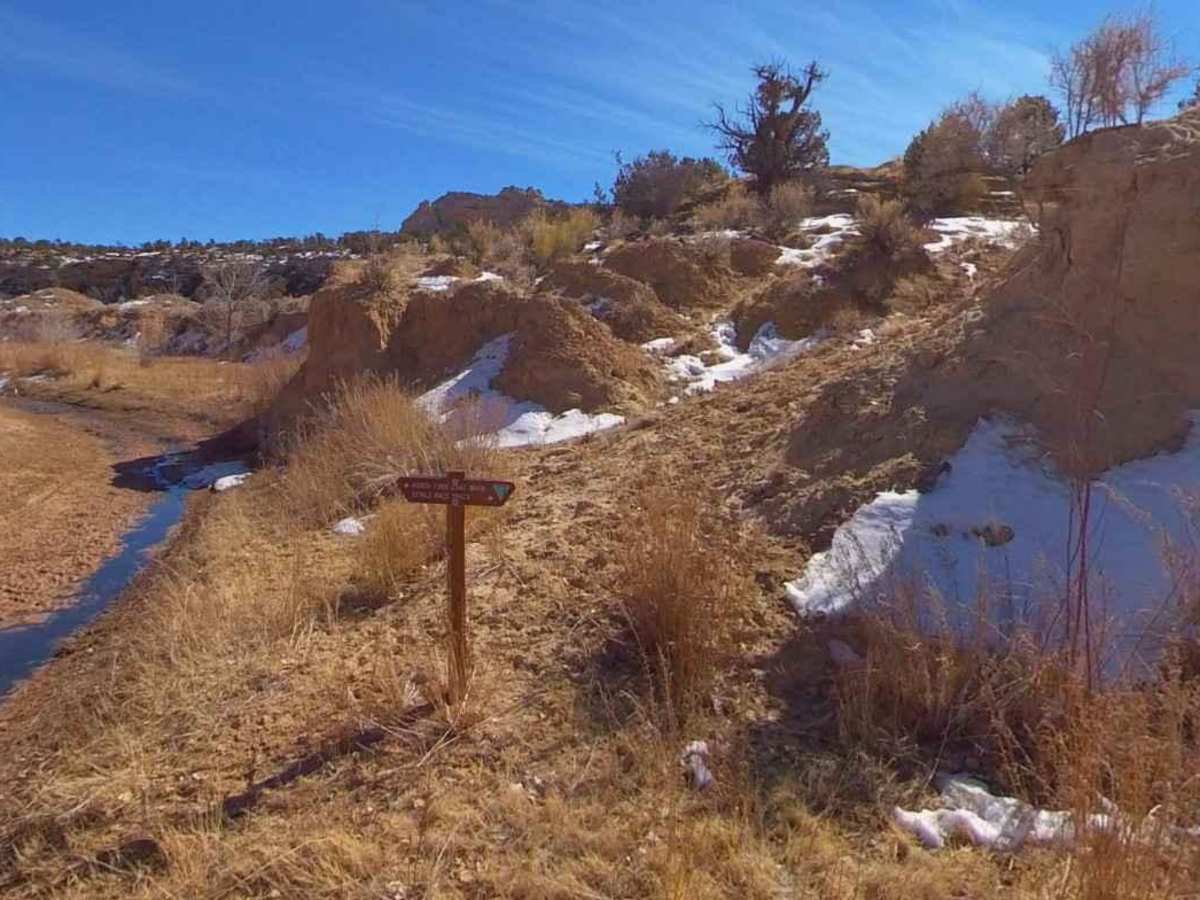 Devils Racetrack-BLM639 photo 2