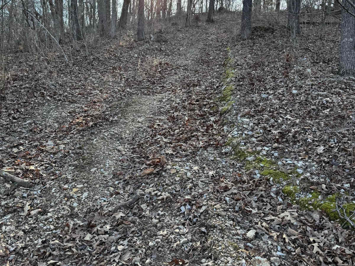 Green 410 trail photo