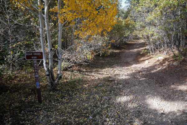 Bear Creek
