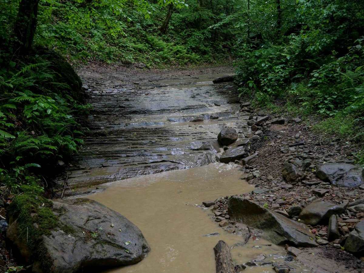 B46 trail photo