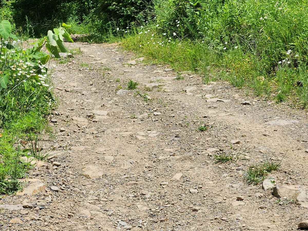 Trail 6E- Rock Run Recreation Area photo 3
