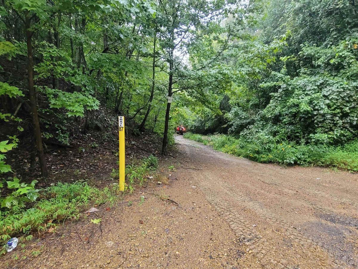 Trail 87 - Poplar Creek photo 3