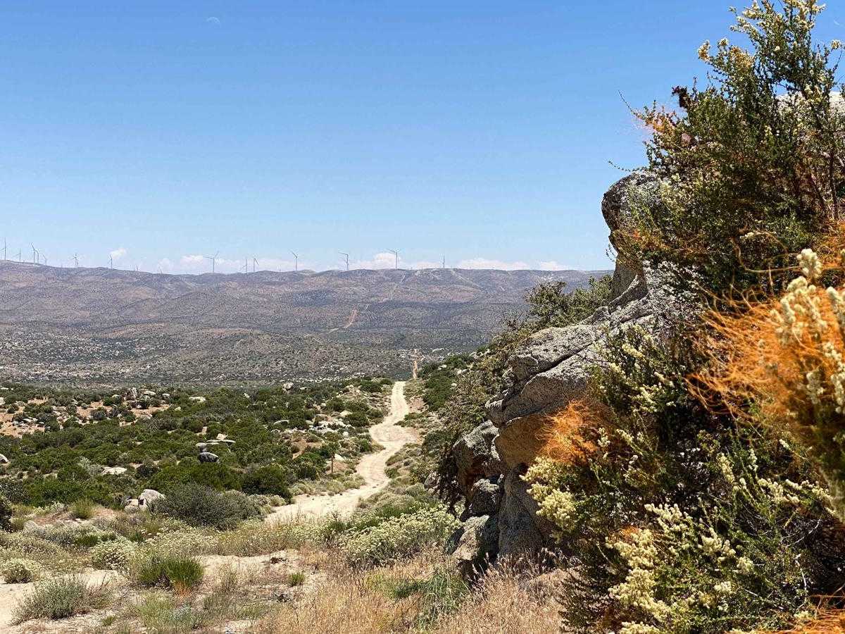 Cerro Prieto Loop trail photo