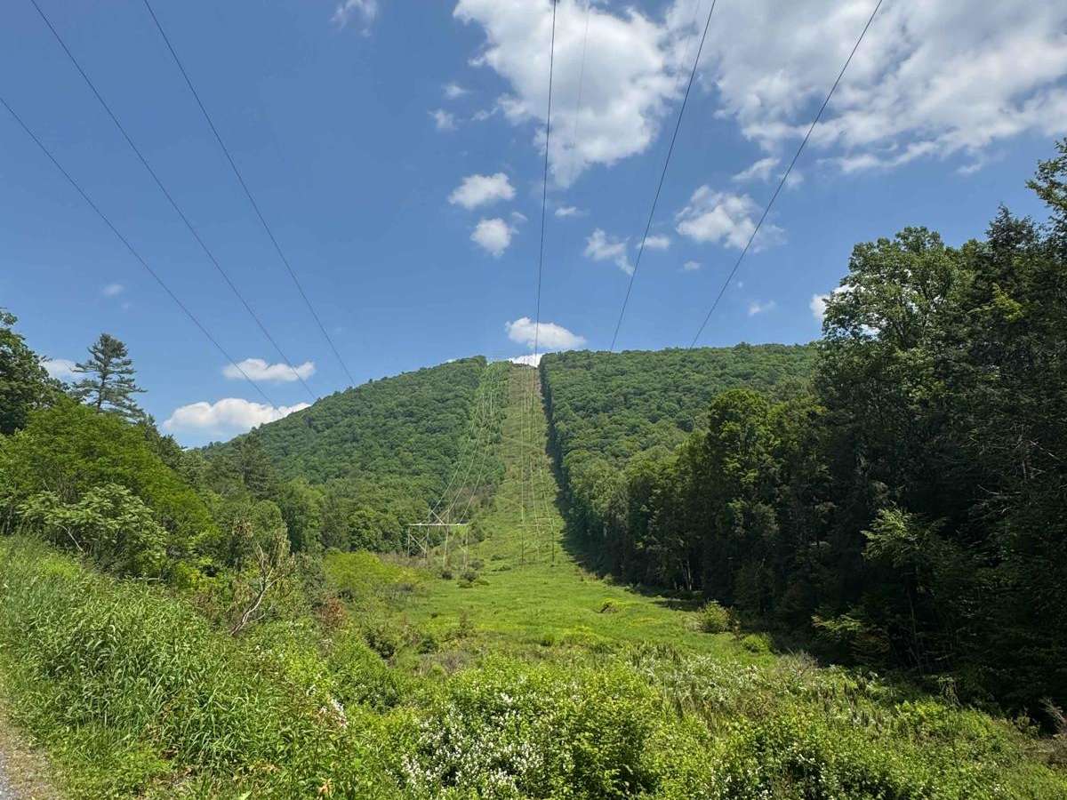 Hyner Run Road photo 3
