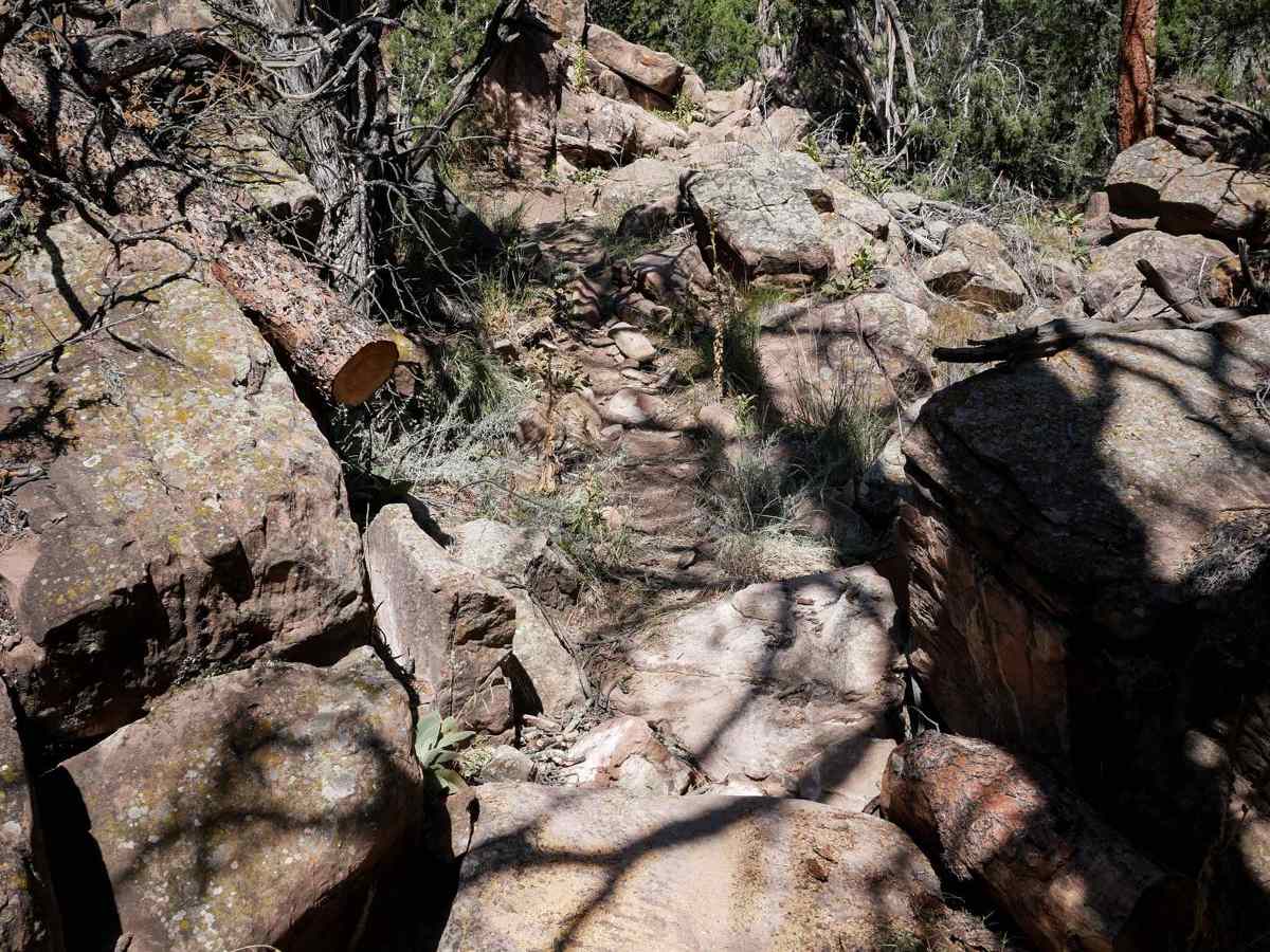 Warmup Trail photo 3