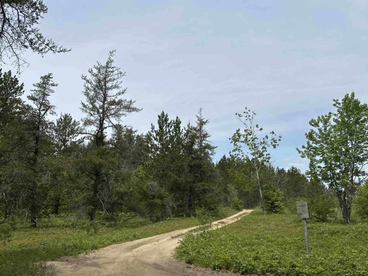 FS 3608 photo 2