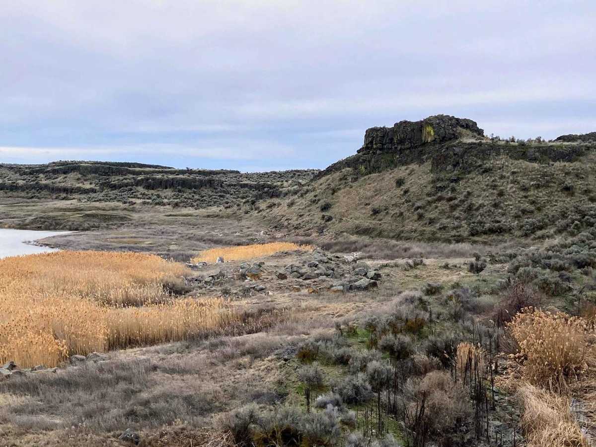 Columbia National Wildlife Refuge Lake Tour photo 5