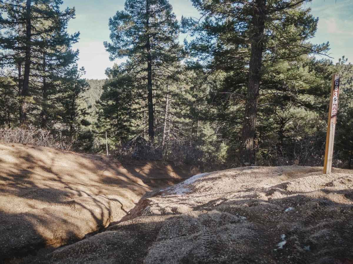 683 Fern Trail photo 2
