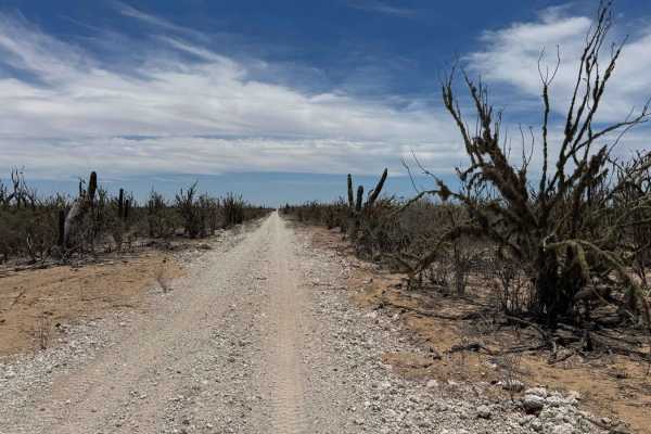 Northeast-Southwest Road