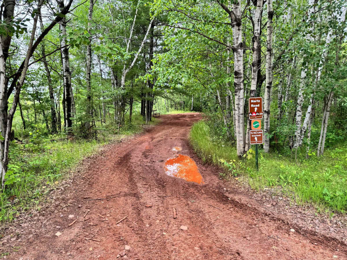 Nartz Road trail photo
