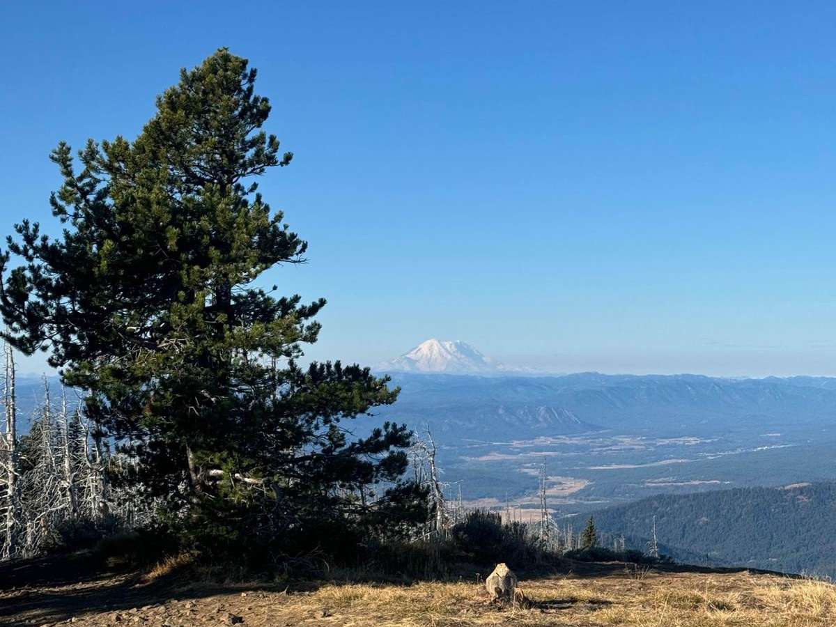 Lion's Rock to Liberty photo 3