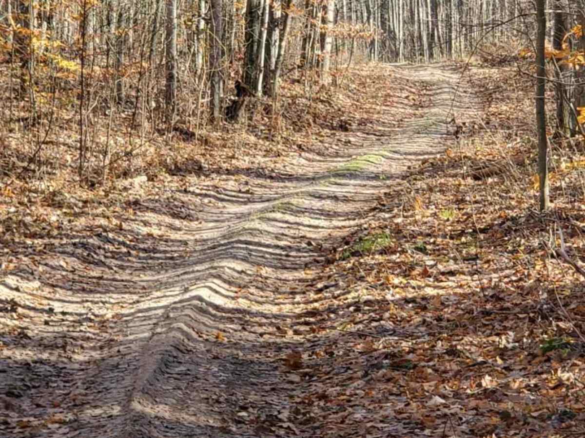 Trail 7322 photo 3