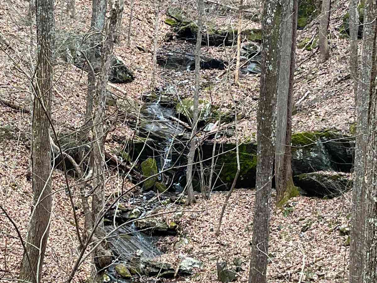 Kimsey MTN (Old 68 HWY) photo 2