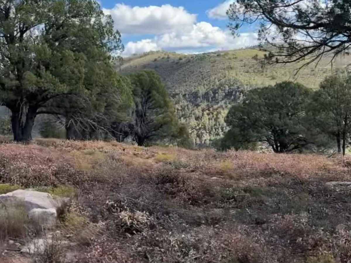 Flowing Springs MT-74 trail photo