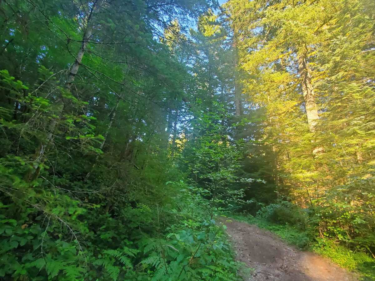 Hunters Bluff photo 2
