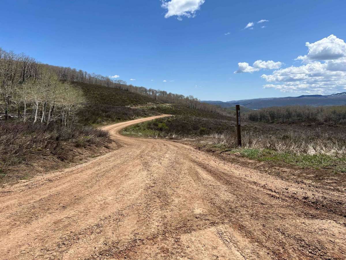 Kweeyahgut Creek Road trail photo
