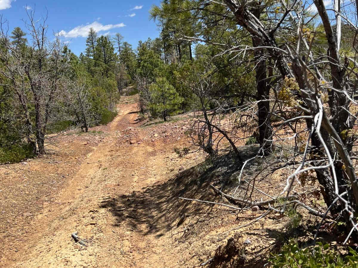 Telephone Ridge photo 3