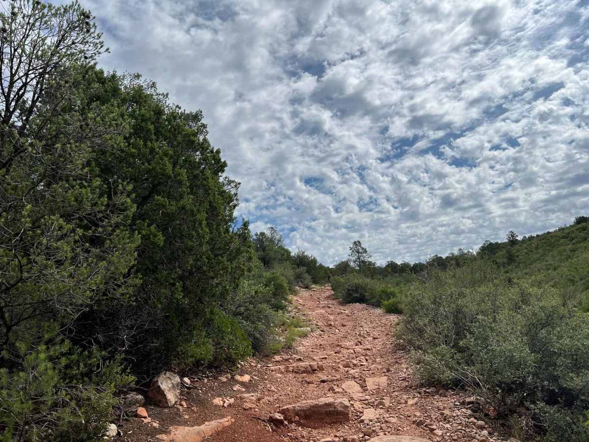 Crackerjack Mesa-  FS 209 photo 4