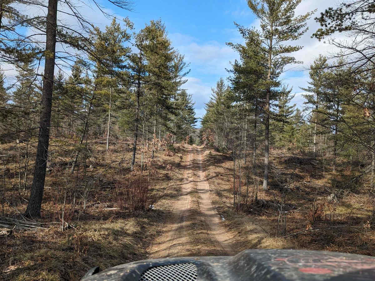 Washburn Trail photo 4