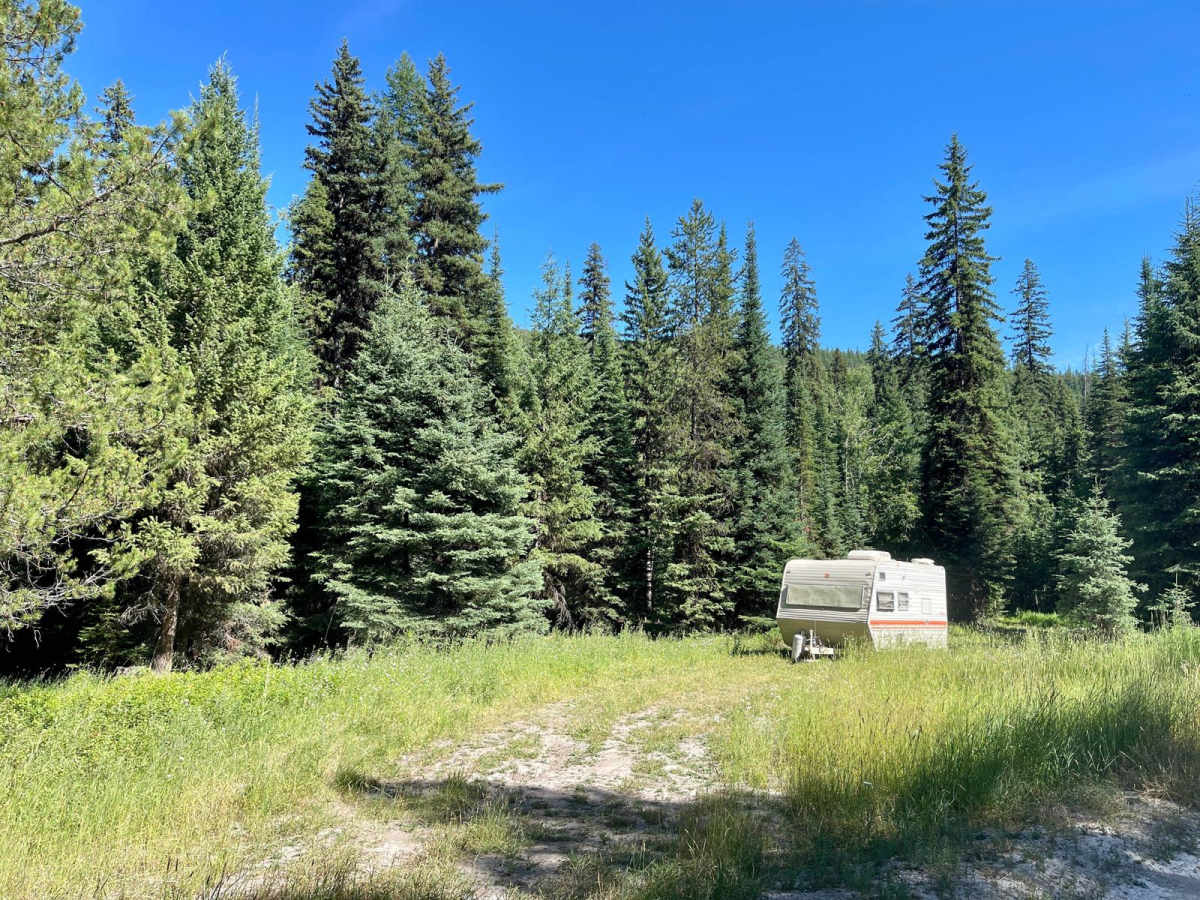 Wild Bill Creek photo 6
