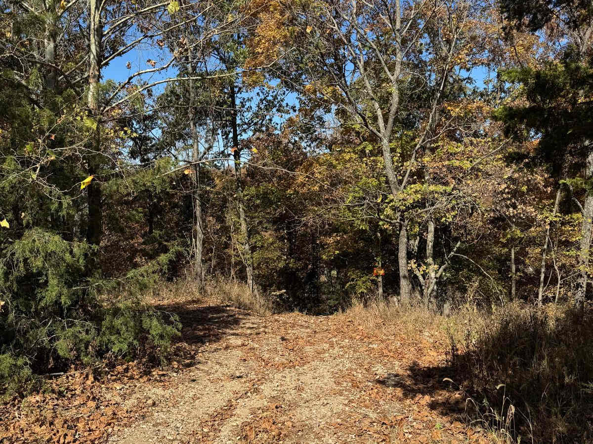Green 63 trail photo
