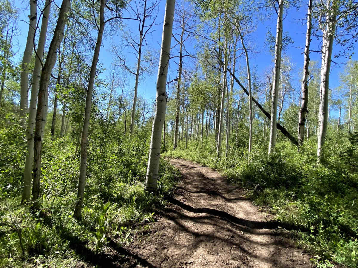 West Green Mountain Trail (#719) photo 2
