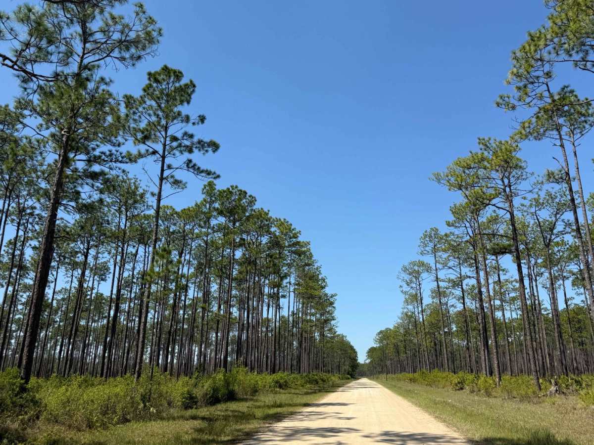 Brickyard Landing - 129 photo 5