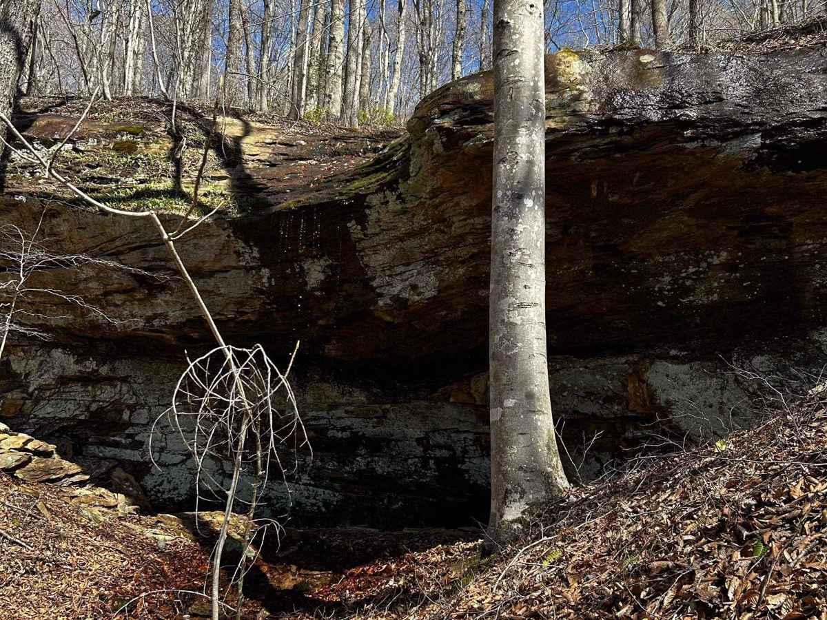 Arrington Branch Pass photo 6