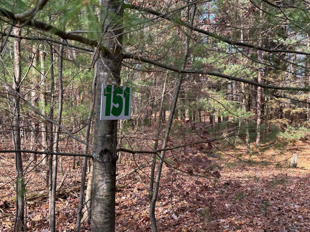 151A photo 2