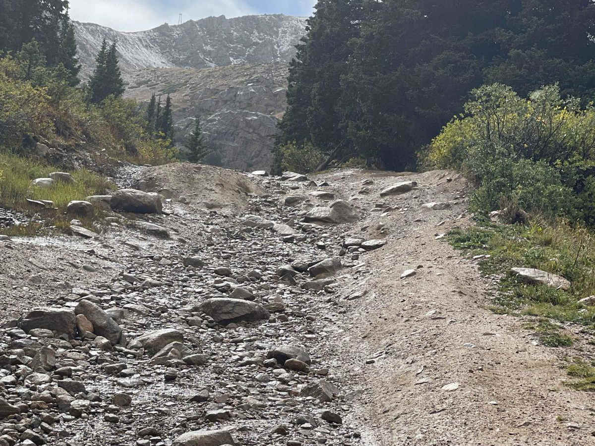 Champion Mine Trail trail photo