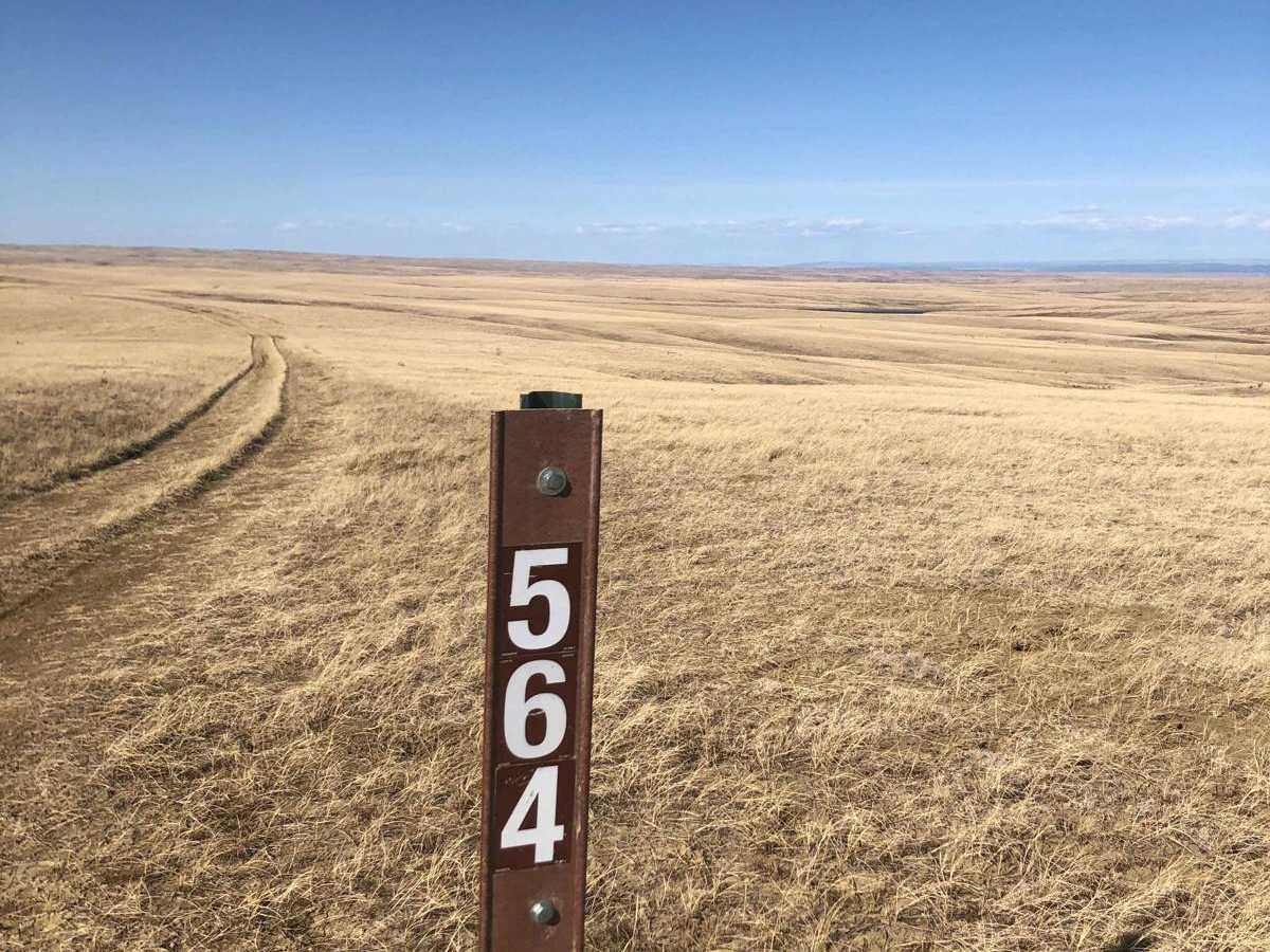 Trail 564 photo 4