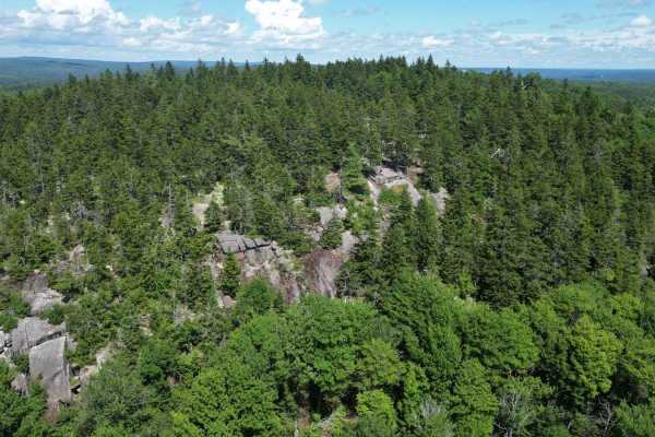Green Hill Lookout