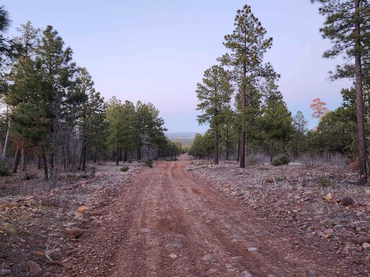 FR140 trail photo