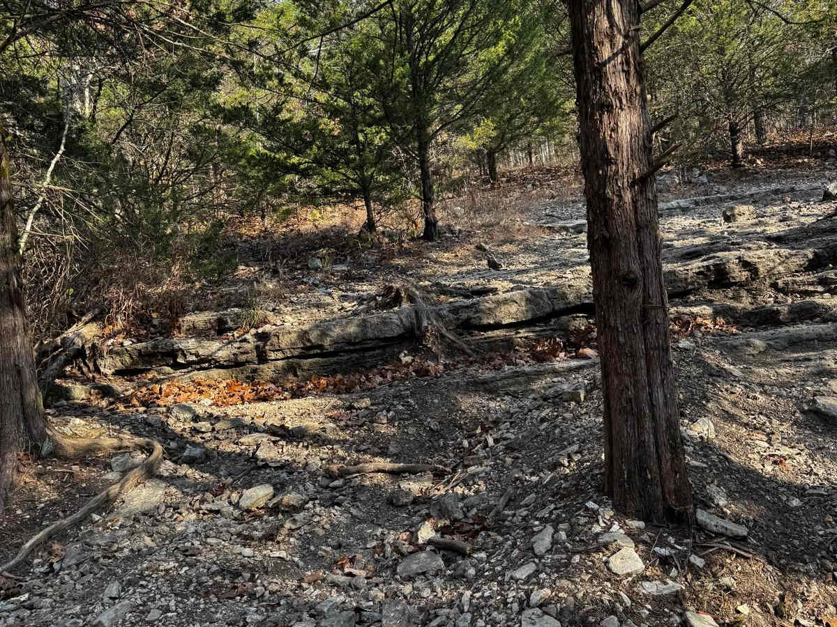 Bluff Run trail photo