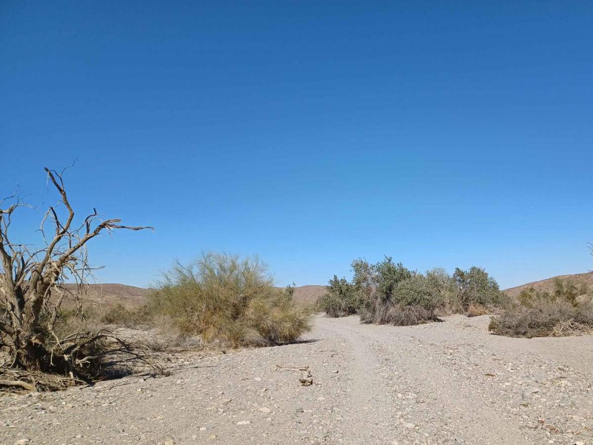 Vinagre Wash trail photo