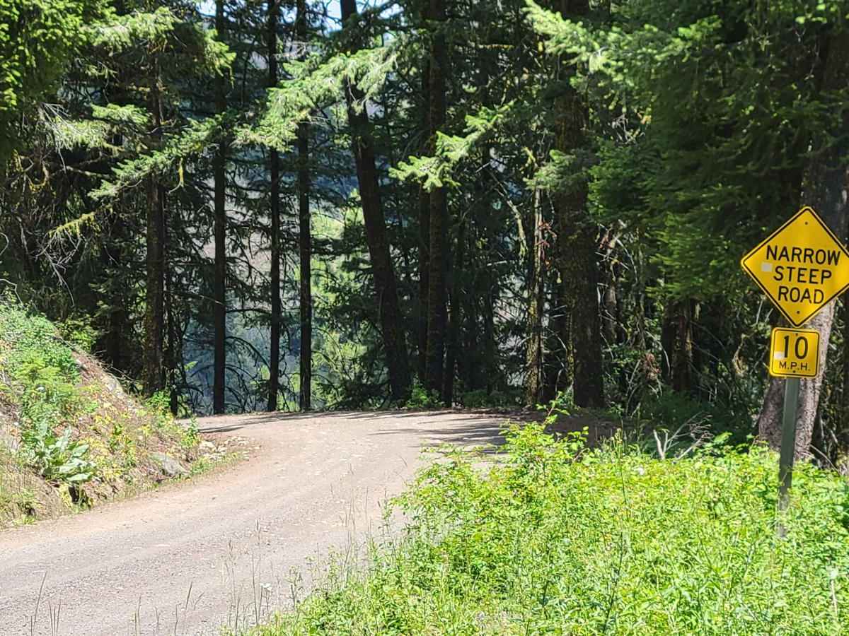 Poorman Creek Road (NF 4300300) photo 2