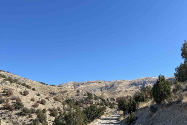 Quincy Spring Canyon