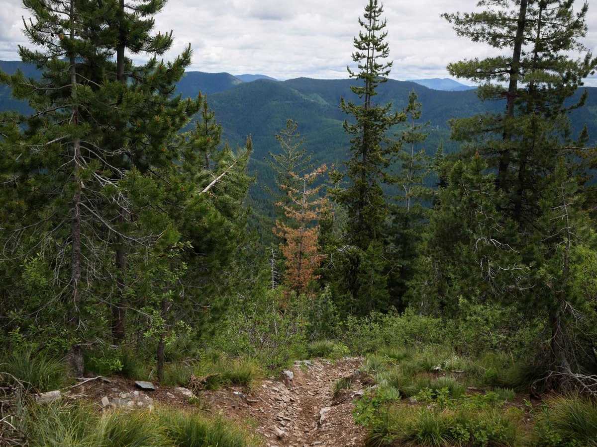Flume Creek ATV photo 3